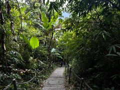 -七仙岭温泉国家森林公园