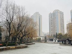 -团结湖公园