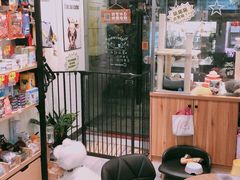 -小尾巴宠物店(万科·金域华庭店)