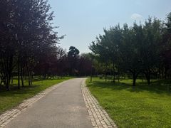 -莫子山公园