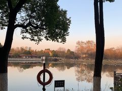 -青山公园萤火虫科普展