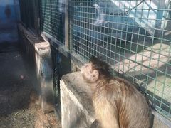 -无锡动物园·太湖欢乐园
