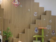 -COLOR PETS 撸猫馆·购猫·猫咖(长风大悦城店)