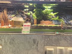-亚马逊海鲜自助(万象汇店)
