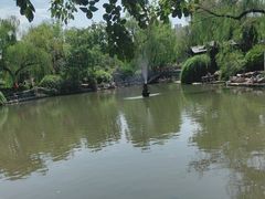 -西苑公园