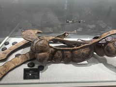 -昆明植物园