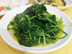 清炒菠菜-龙珠饭店-深夜大食堂(五爱西直街店)
