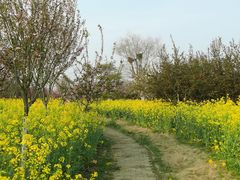 -武汉紫薇都市田园