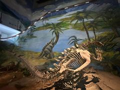-自贡恐龙博物馆