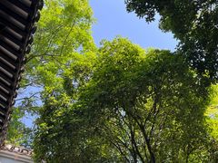 -绮园景区