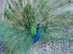 -南京金牛湖风景区
