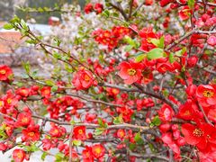 -崂山九水游览区