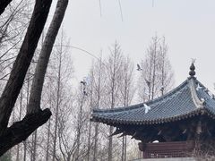 -祥源·阜阳生态乐园