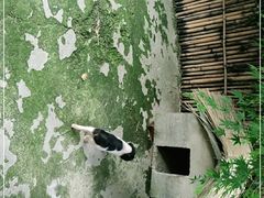 -太极禅苑