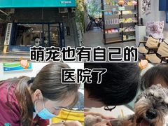 -伟伟宠物医院·CT影像中心·瑞派犬猫综合性门诊(汉口总院)