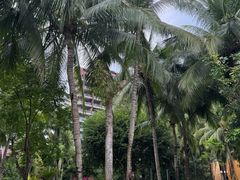 -三亚湾海居铂尔曼度假酒店