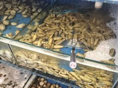 -蟹谢蒸鲜自助餐厅