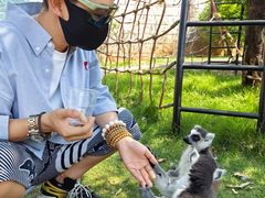 -灵玲国际马戏城
