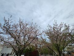 -龙美术馆(西岸馆)