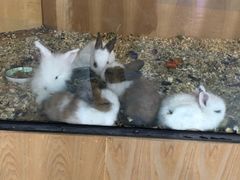 -嘉文梦想世界(SM天津滨海城市广场店)