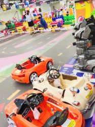 -欢乐陶陶儿童主题乐园(龙岗店)