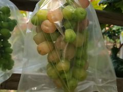 -马陆小张葡萄园农家乐