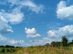 -光明小镇欢乐田园