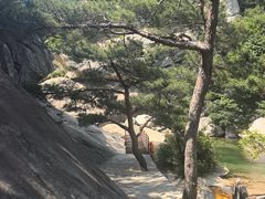 -无染寺