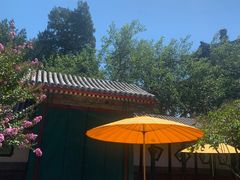 -宫事颐庭·老佛爷贵寿下午茶(颐和园店)