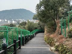 -树山生态村