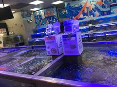 -盒马鲜生(大成店)