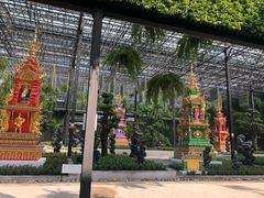 -东芭乐园