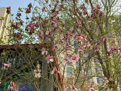 -首都医科大学附属北京潞河医院