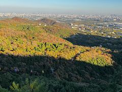 -北京西山国家森林公园