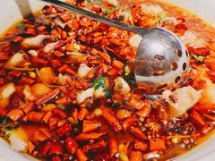 水煮江团鱼-麻六记(新天地店)