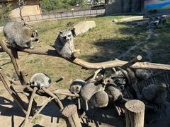 -齐齐哈尔龙沙动植物园