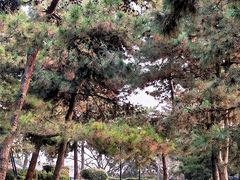 -陕西民俗大观园