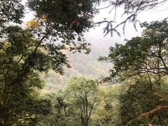 -青城山