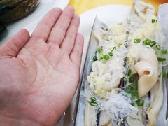 爱尔兰圣子王-蚝专家(北滘店)