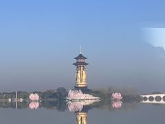 -溱湖国家湿地公园