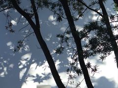 -何东旧居