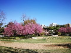 -丰台花园