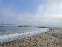 -星海湾跨海大桥