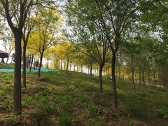 -东郊湿地公园