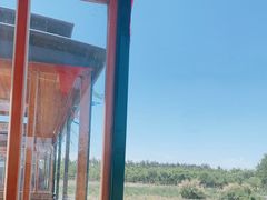 -西青郊野公园