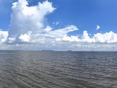-上海滨江森林公园