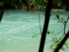 -广州白江湖森林公园