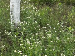 -南京市无想山景区