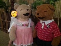 -济州岛泰迪熊博物馆