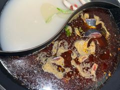 -新辣道鱼火锅(龙旗广场店)